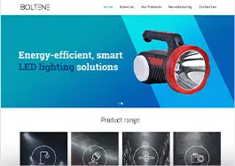 WordPress Website Design Portfolio for LED lighting