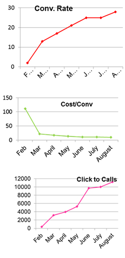 High ROI performance marketing for a veterinary clinics chain 