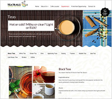 Website design with strong branding