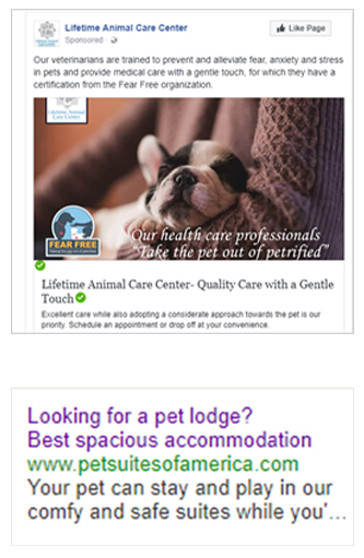 Google Ads and Facebook Ads for veterinary clinic 